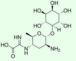 生物的殺菌剤Kasugamycin 70%TC、2%SL、10%WP、6%WP