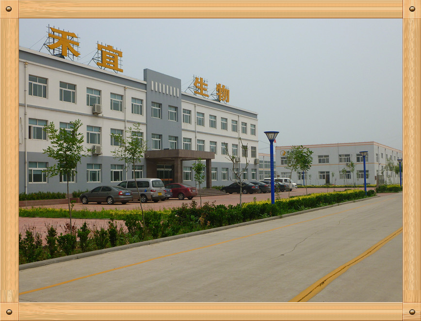 中国 Weifang Heyi Agrochemical Co.,Ltd 会社概要